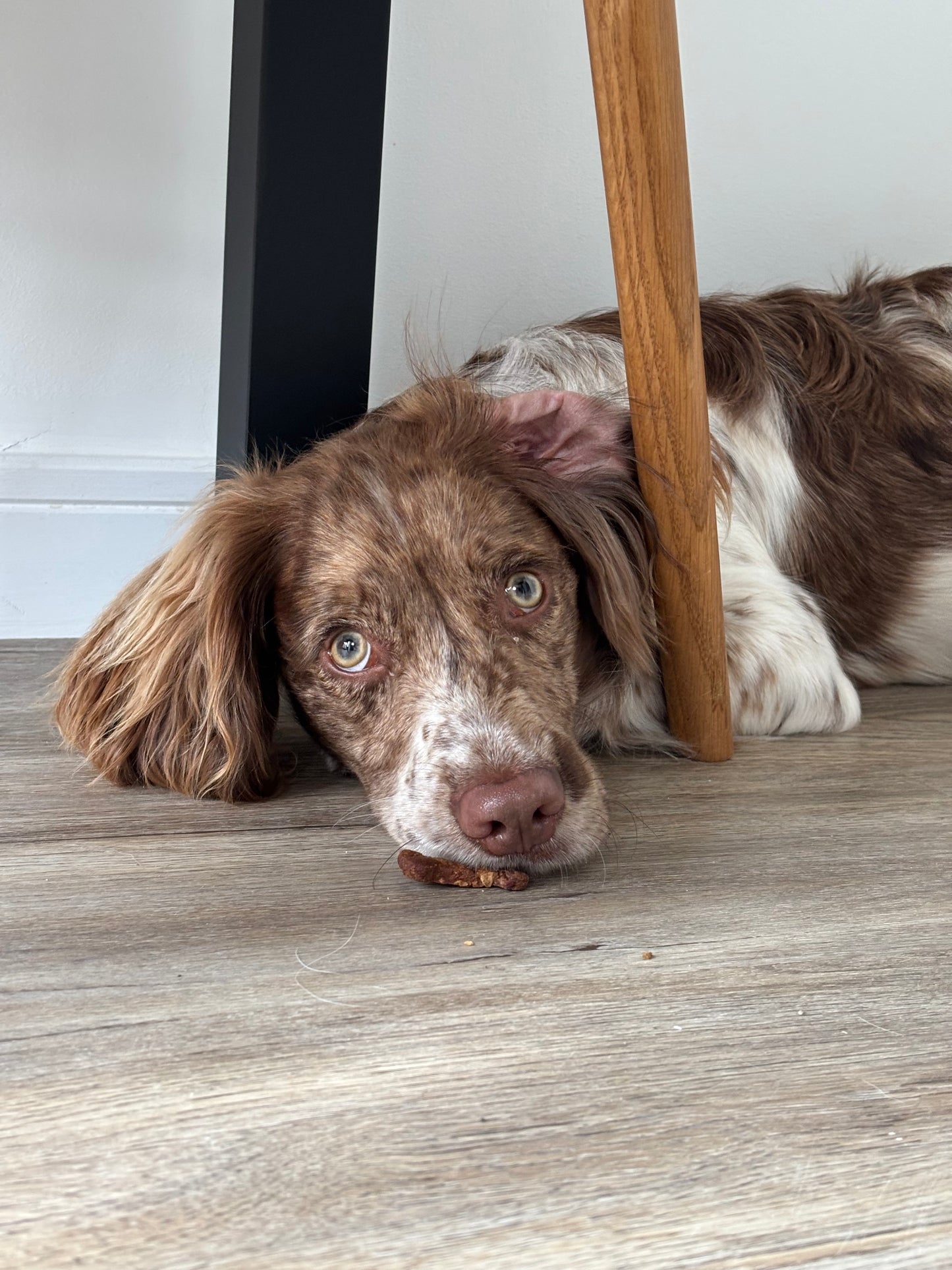 PEANUTTY CRUNCH BISCUITS