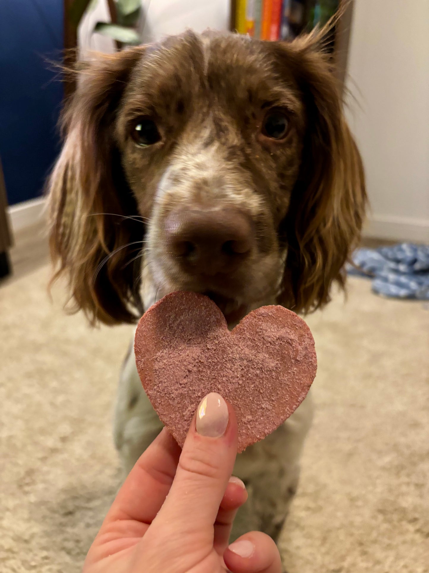 Crunchy Love - Valentine’s Treat Preorder